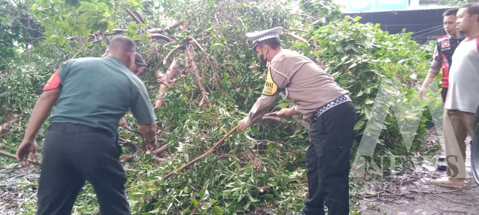 Polisi dan TNI evakuasi pohon tumbang