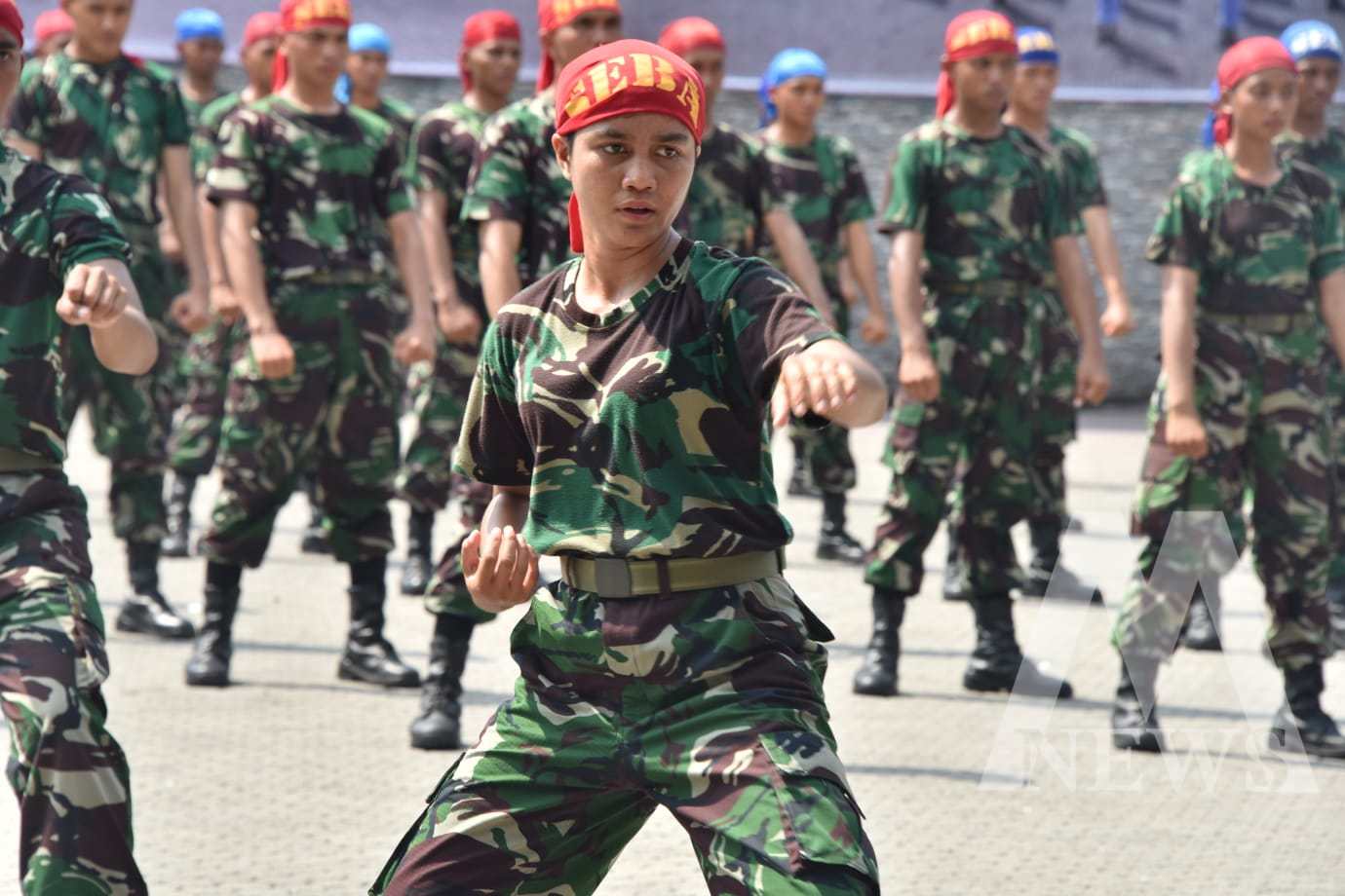 Pelantikan ratusan Bintara TNI AL angkatan 43/2