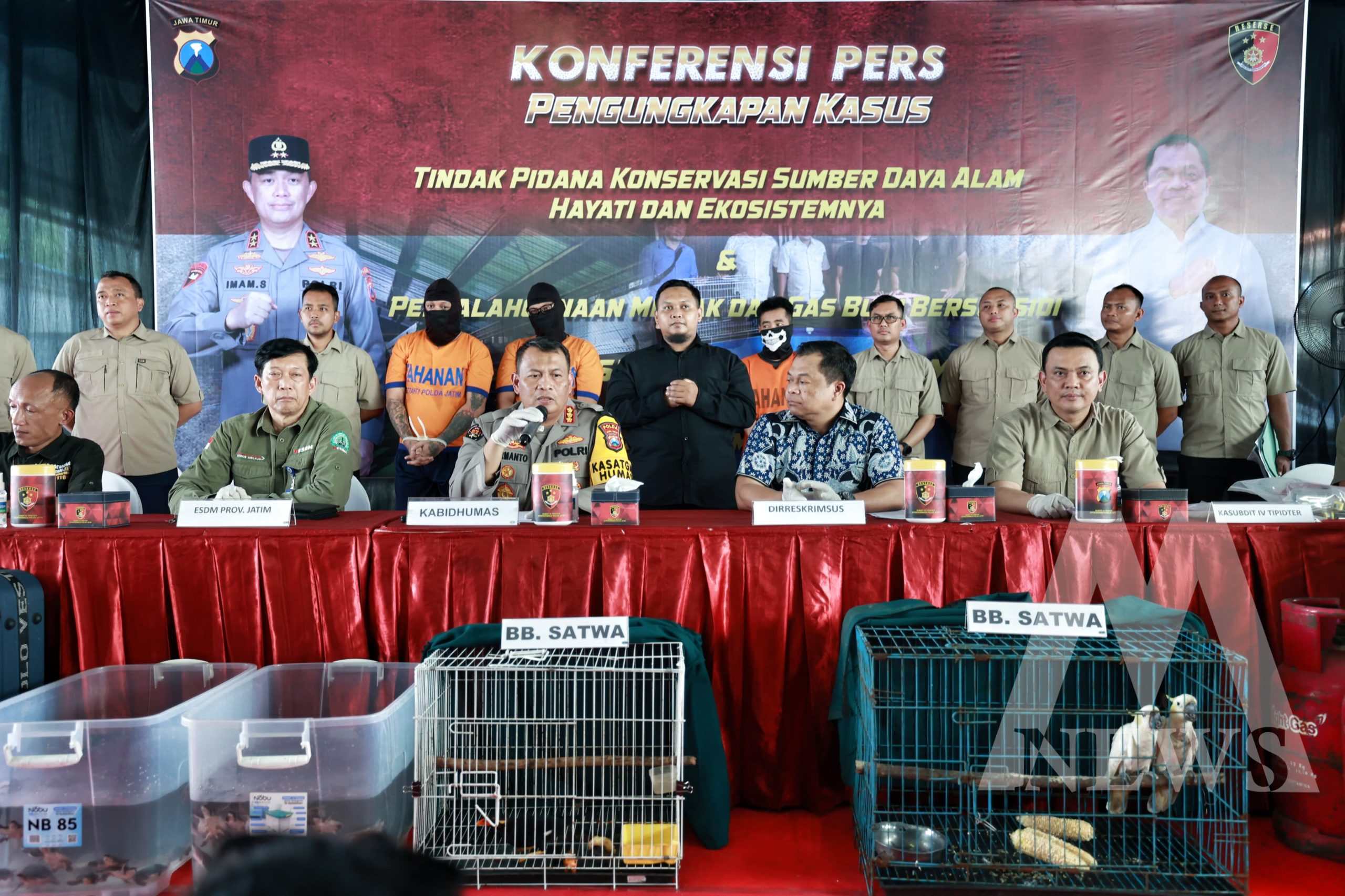 Polda Jatim tangkap sindikat penyelundupan satwa di lindungi 