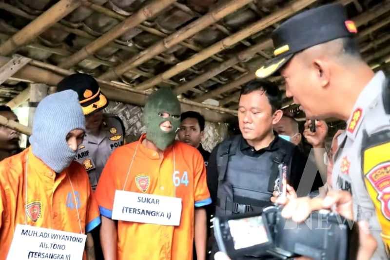 Polisi amankan 2 tersangka pencuri sapi