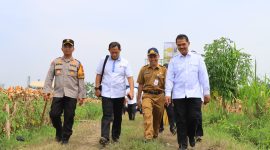 Kapolres Tuban AKBP Suryono dampingi Dirjen tanaman pangan Kementan Panen Raya