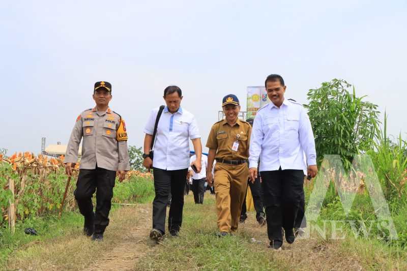 Kapolres Tuban AKBP Suryono dampingi Dirjen tanaman pangan Kementan Panen Raya