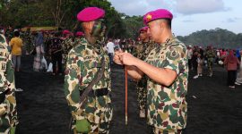 Dankodiklatal Letjen TNI Marinir Nur Alamsyah