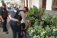 Polresta Malang Kota sterilisasi gereja libatkan K9