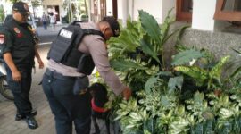 Polresta Malang Kota sterilisasi gereja libatkan K9