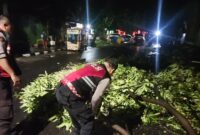 Polres Kediri Kota Evakuasi Pohon Tumbang