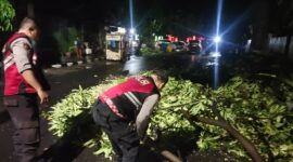 Polres Kediri Kota Evakuasi Pohon Tumbang