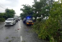 TNI Polri dan warga gotong royong evakuasi pohon tumbang