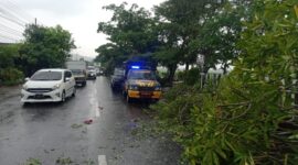 TNI Polri dan warga gotong royong evakuasi pohon tumbang