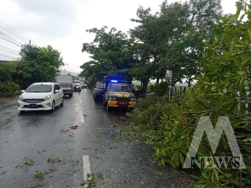 TNI Polri dan warga gotong royong evakuasi pohon tumbang
