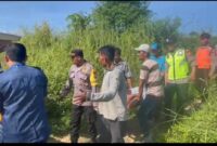 Polisi dan relawan evakuasi korban mobil terjun ke Jurang