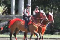 Detasemen Turangga amankan World Water Forum ke-10 di Bali