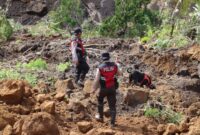 Polres Lumajang kerahkan unit K9 cari korban longsor
