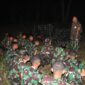 Siswa Senerbal Kodiklatal lakukan Sea and Jungle Survival