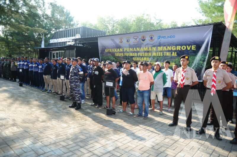 Siswa Suspa Potmar TNI AL peringati hari mangrove sedunia