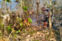 Polisi bersama TNI dan relawan padamkan kebakaran hutan