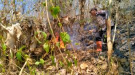 Polisi bersama TNI dan relawan padamkan kebakaran hutan