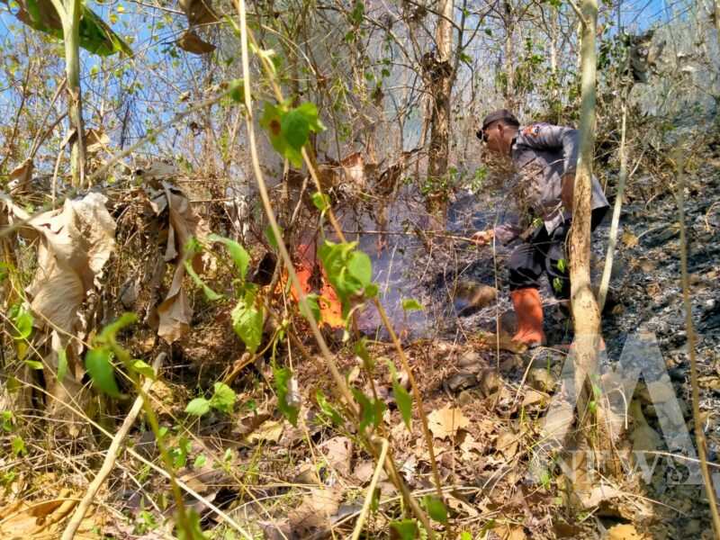 Polisi bersama TNI dan relawan padamkan kebakaran hutan