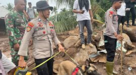 Polda Maluku Utara kirim anjing K9 cari korban longsor
