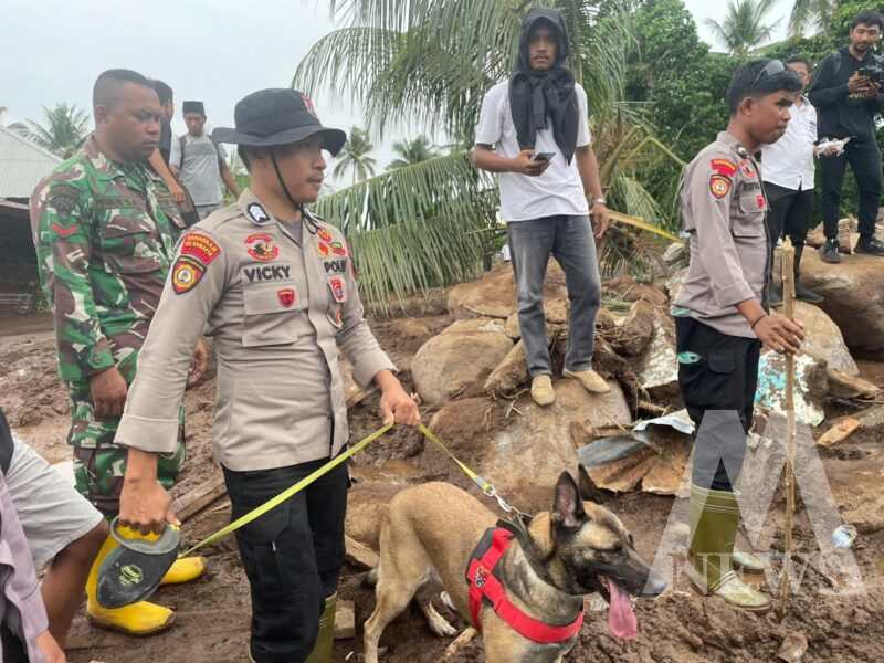 Polda Maluku Utara kirim anjing K9 cari korban longsor