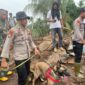 Polda Maluku Utara kirim anjing K9 cari korban longsor