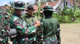 Dansepa Letkol Marinir Kartika Wijaya Setyawan