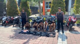 Polres Gresik tangkap 5 pemuda diduga tawuran