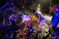 Polisi dan warga evakuasi pohon tumbang