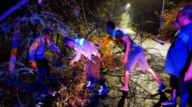 Polisi dan warga evakuasi pohon tumbang