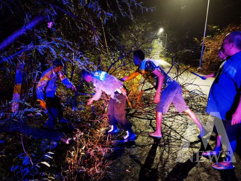 Polisi dan warga evakuasi pohon tumbang