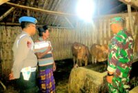 Sinergitas TNI Polri rutin patroli malam cegah pencurian hewan ternak