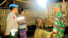 Sinergitas TNI Polri rutin patroli malam cegah pencurian hewan ternak
