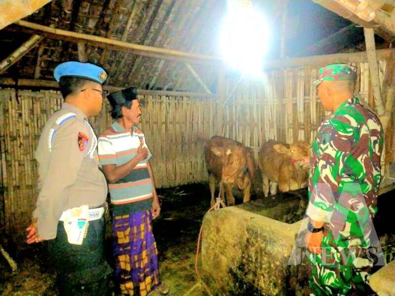 Sinergitas TNI Polri rutin patroli malam cegah pencurian hewan ternak