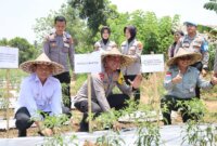 Dukung target swasembada pangan Nasional