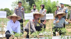 Dukung target swasembada pangan Nasional