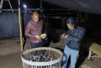 Polsek Bagor grebek tempat judi dadu dan sabung ayam