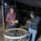 Polsek Bagor grebek tempat judi dadu dan sabung ayam