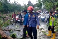 Polres Bojonegoro evakuasi pohon tumbang