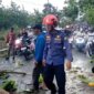 Polres Bojonegoro evakuasi pohon tumbang