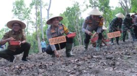 Kapolres Nganjuk AKBP Siswantoro taman benih jagung
