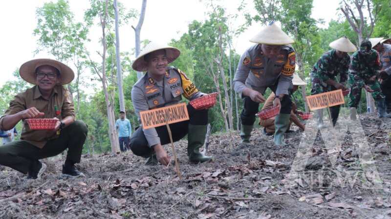 Kapolres Nganjuk AKBP Siswantoro taman benih jagung
