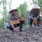 Kapolres Nganjuk AKBP Siswantoro taman benih jagung