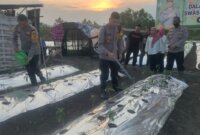 Wakapolres Gresik didampingi Kapolsek Menganti AKP Roni Ismullah tanam bibit cabai