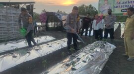 Wakapolres Gresik didampingi Kapolsek Menganti AKP Roni Ismullah tanam bibit cabai