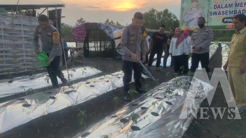 Wakapolres Gresik didampingi Kapolsek Menganti AKP Roni Ismullah tanam bibit cabai