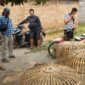 Polres Nganjuk grebek tempat judi sabung ayam