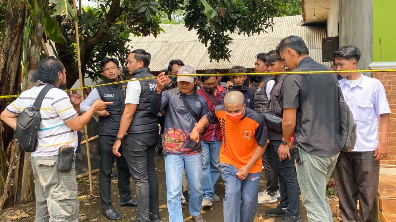 Polisi tangkap tersangka pencurian sapi