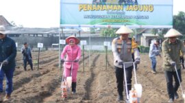 Kapolres Blitar Kota AKBP Danang Setiyo saat tanam jagung