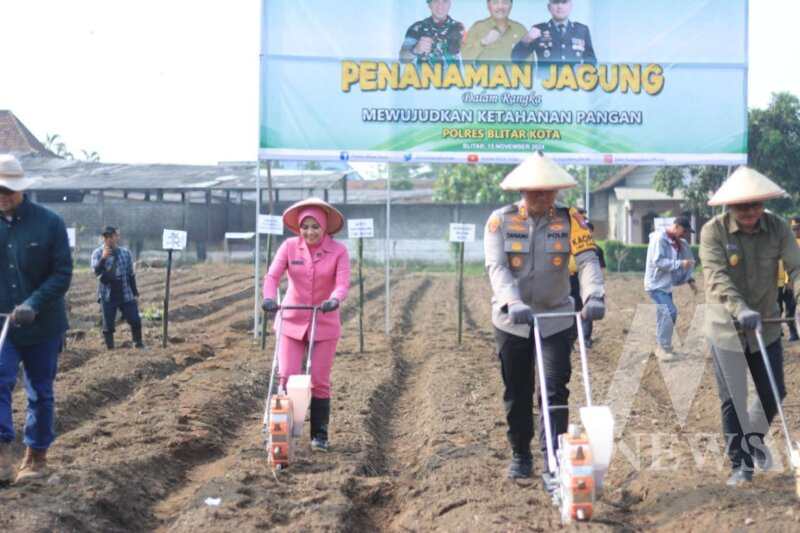 Kapolres Blitar Kota AKBP Danang Setiyo saat tanam jagung