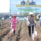 Kapolres Blitar Kota AKBP Danang Setiyo saat tanam jagung